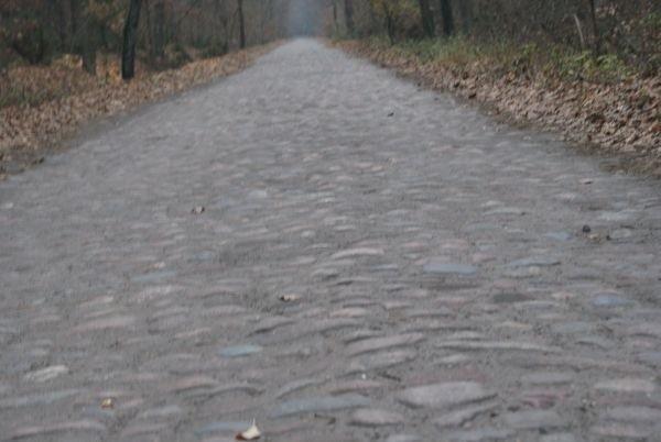 droga z kocich łbów prowadzi do Józefowa