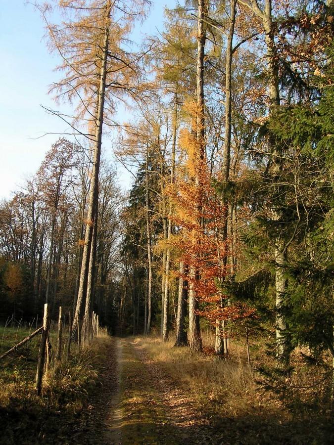 Terenowy odcinek za Stronnem