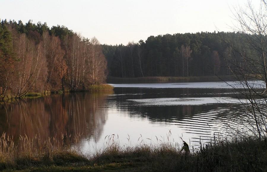 Kanadyjkarz płynący w okolicy Kanału Lateralnego zaskoczył mnie przyznaję