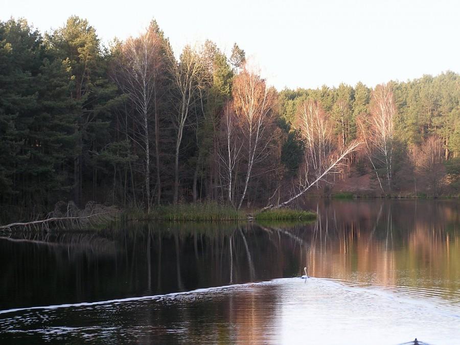 Kanał Lateralny przed Koronowem
