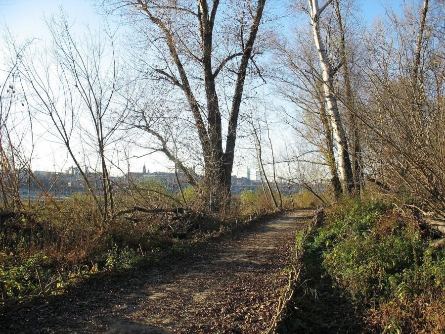 Ścieżka rowerowa nad Wisłą