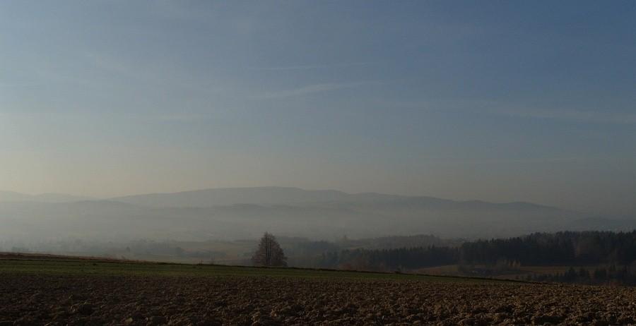 Widoczek z Kwiatonowic