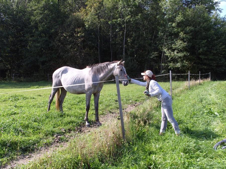 Czyż nie jest to wdzięczny widok, jak to mówią bezcenny.