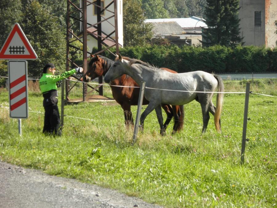 Ale niestety kto miał więcej bułeczek ten rządził ;))