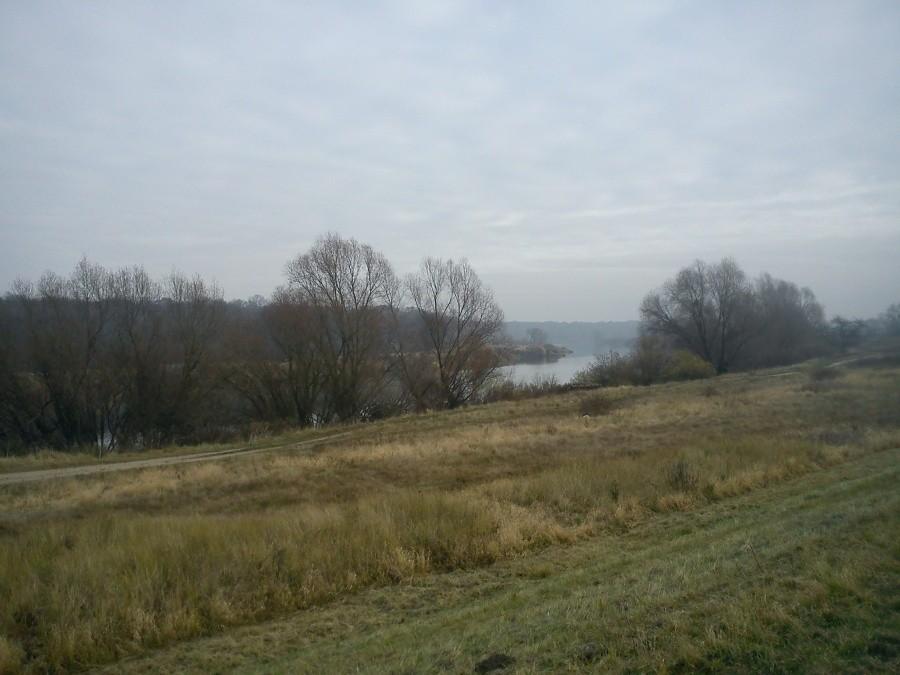 Odra na Maślicach
