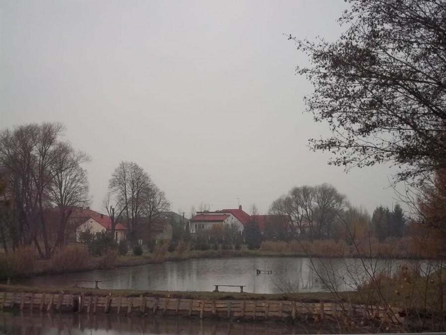 stawy..Budziwój