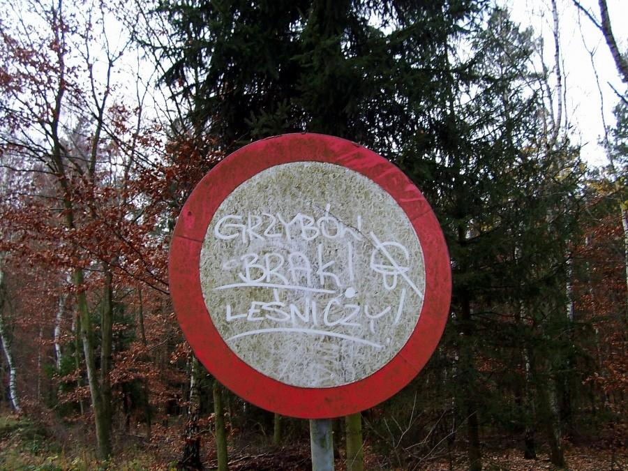 Informacja leśniczego ;)
