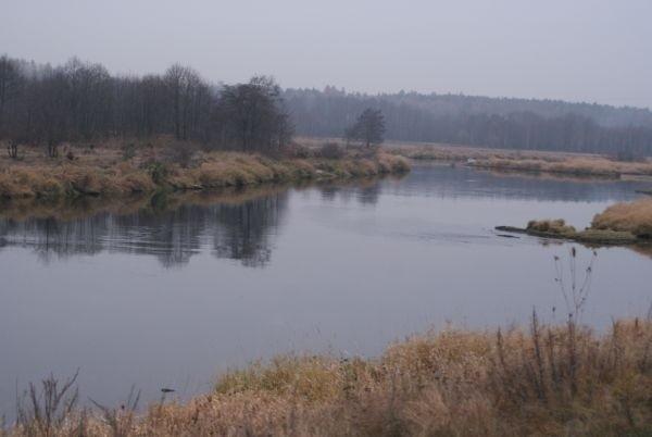 Pilica w Smardzewicach
