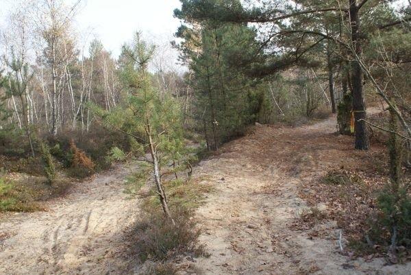 na trasie MTB Sławno