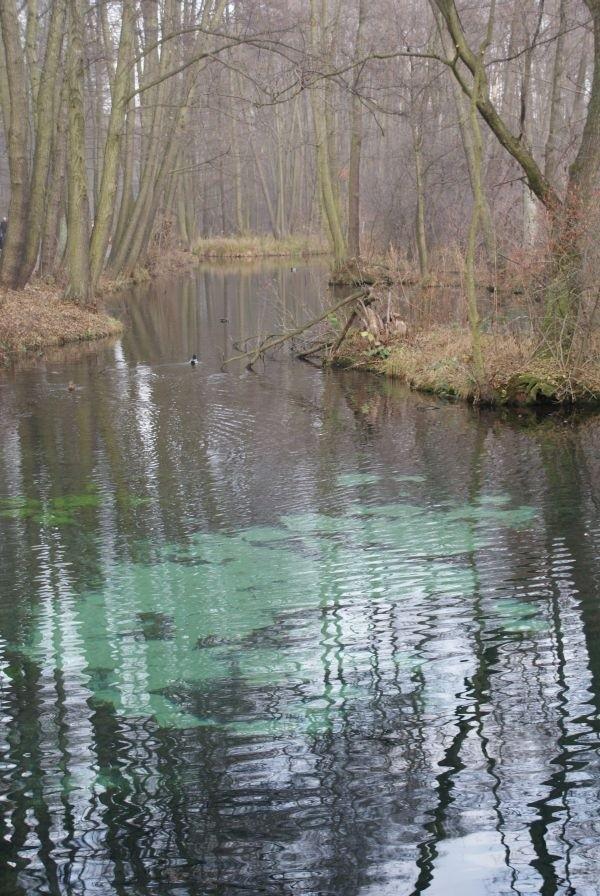 Źródła