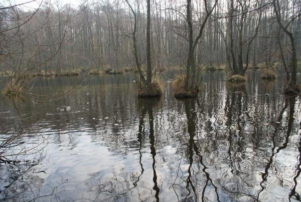Źródła