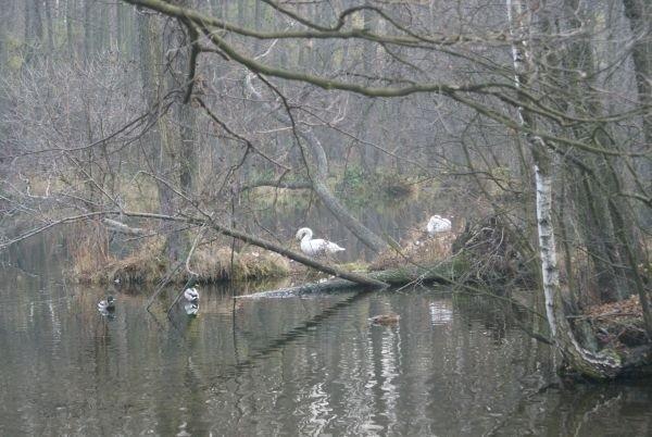 Źródła