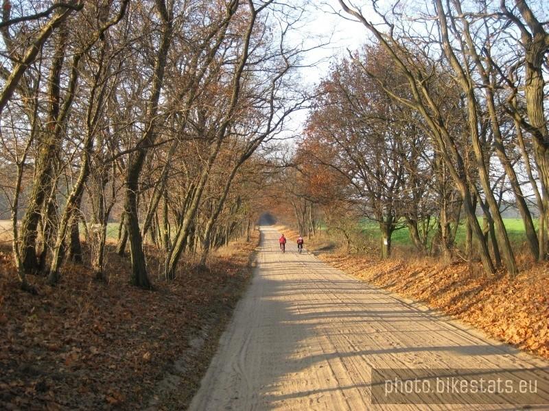 Piaszczysta droga Mielno - Owińska