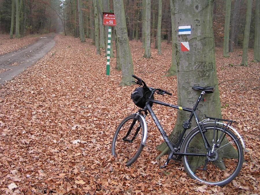 Dziś tylko mijam Szlak niebieski „Brdy”