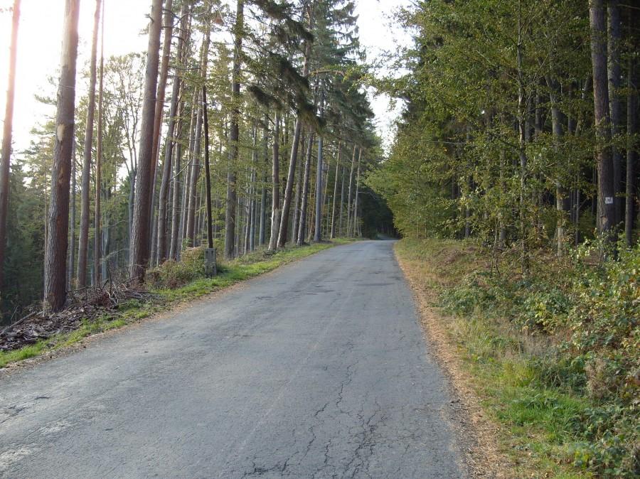 Pod górkę Wolanami