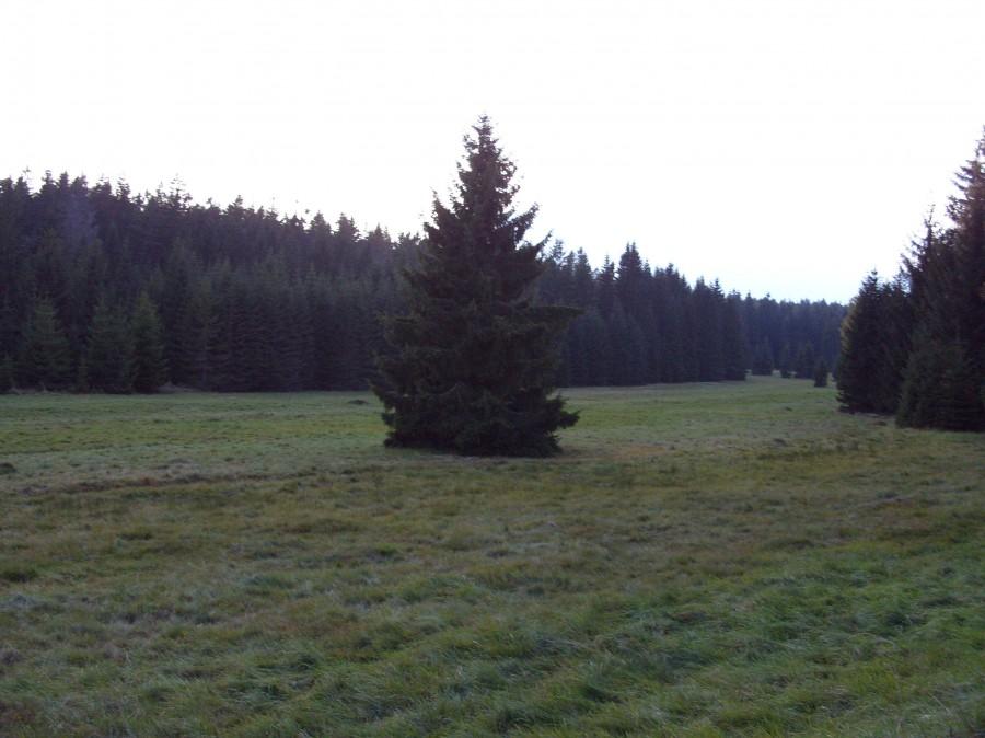 Piękna polana w stronę Karłowa.