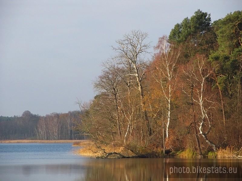 zalesiony brzeg Jeziora Wronczyńskiego Dużego