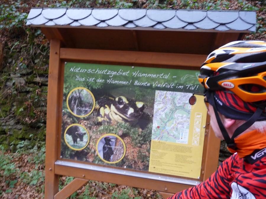 Wupper - Hammertal Tour
