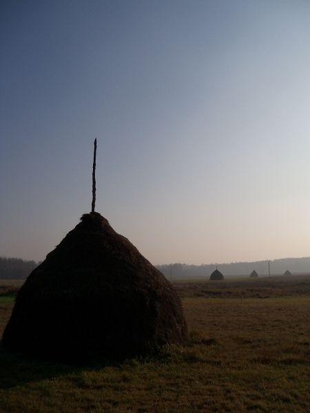 Kampinoskie klimaty