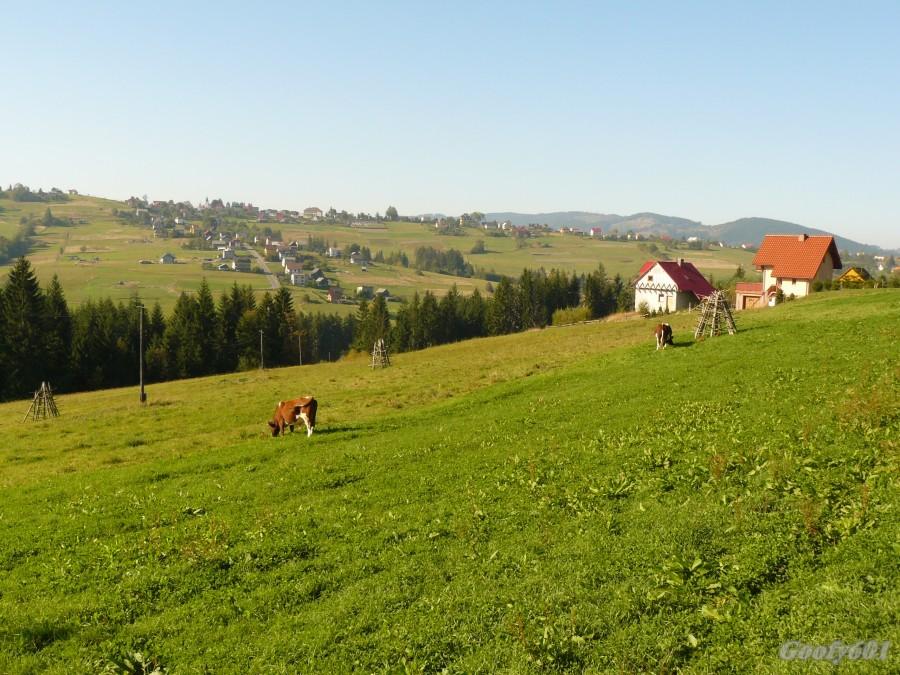Panorama Jaworzynki.