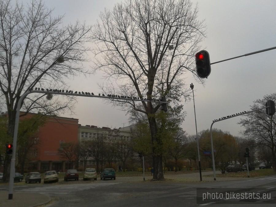 Uwaga, Panowie, zaraz będą mieli zielone! 3... 2... 1... OGNIA!