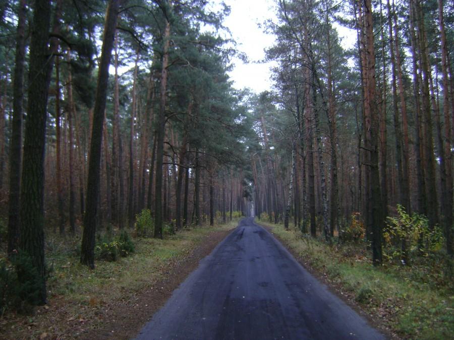T M - ul.Smardzewicka
