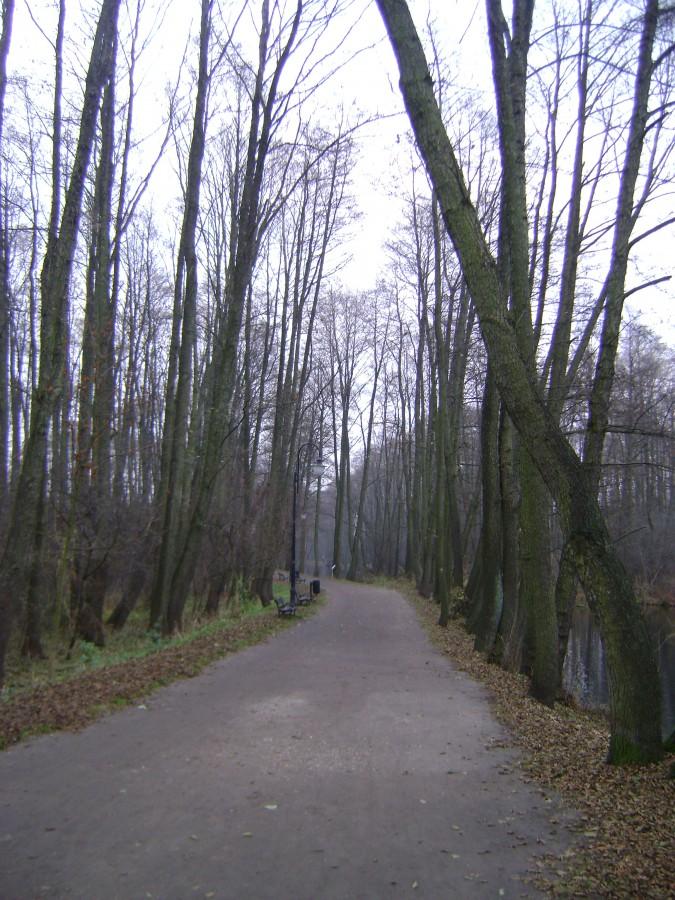 Deptak na Niebieskich Źródłach