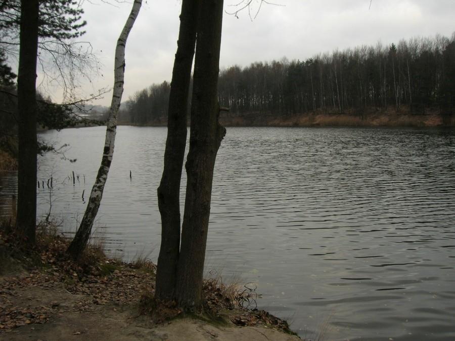 staw w prywatnym parku
