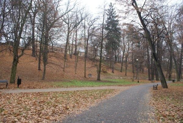 w parku, na dalszym planie widać muzeum regionalne.