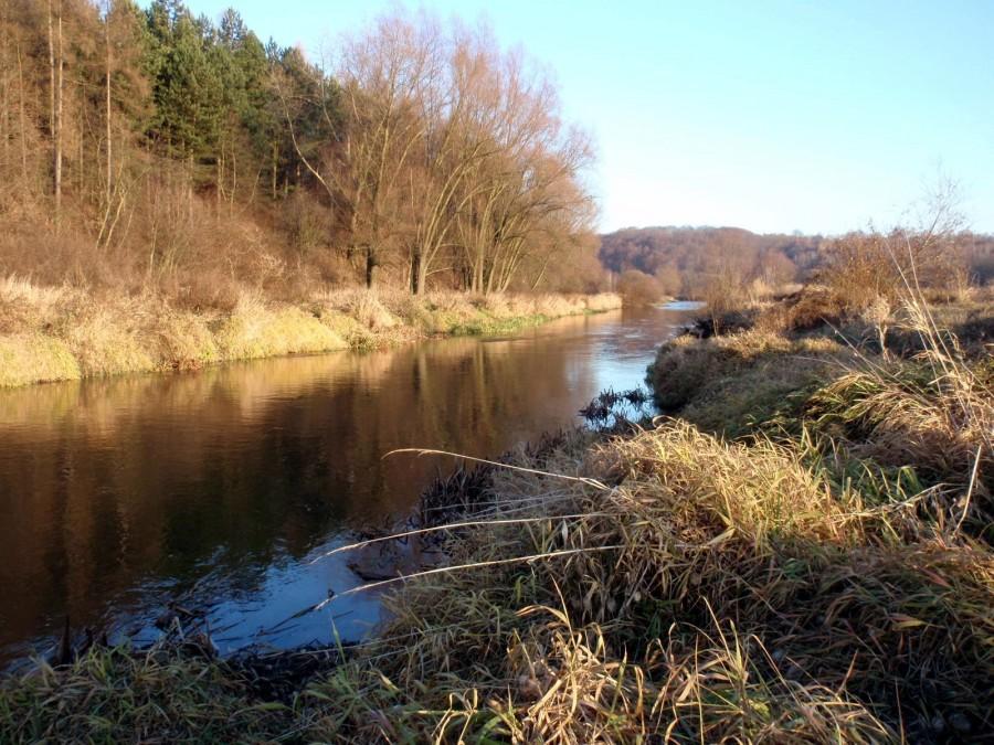 Widoczek znad Warty
