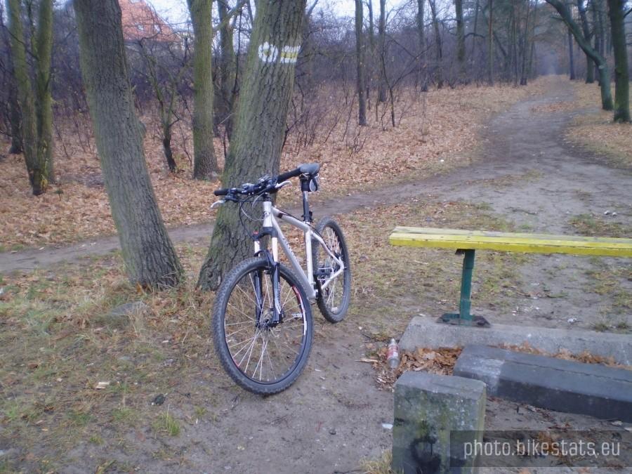 Początek żółtego szlaku