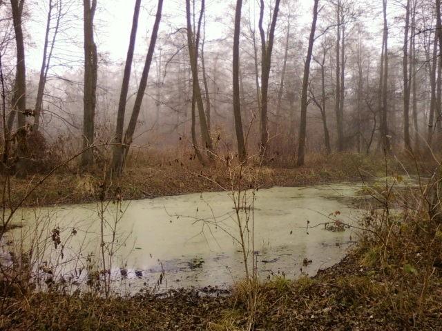 Uroczysko Lublinek