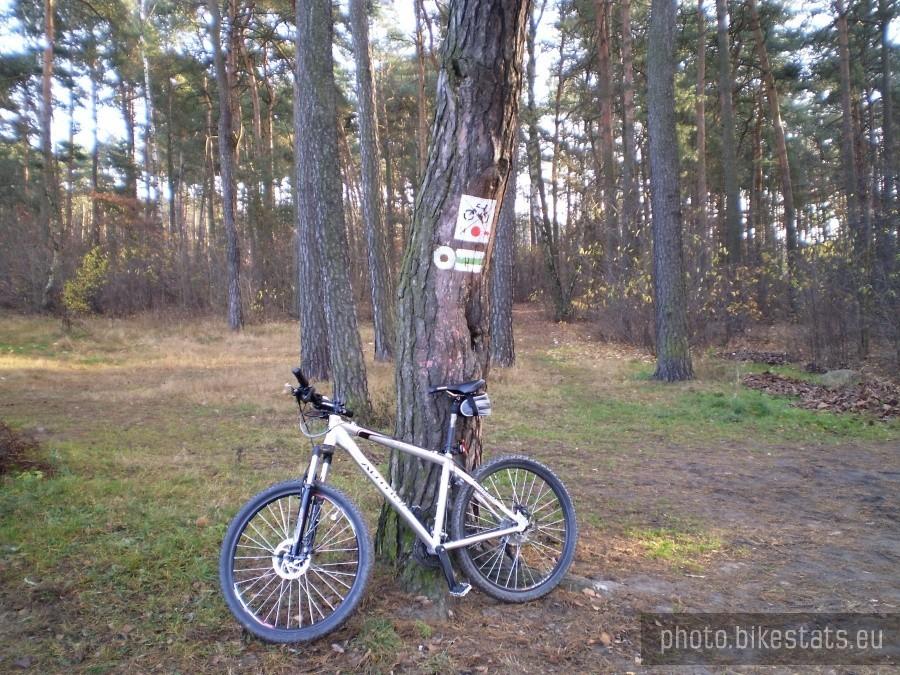 Początek czerwonego szlaku rowerowego i zielonego pieszego pod Swarzędzem