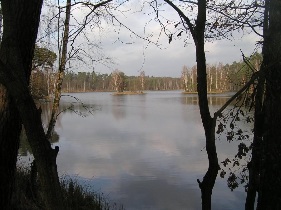 Wyspa na Zalewie Koronowskim