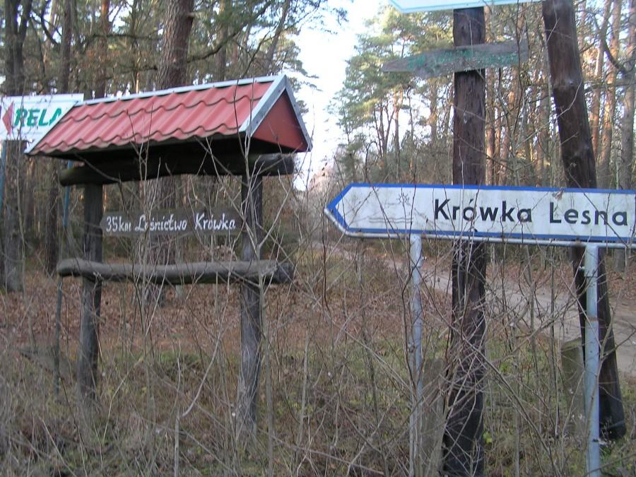 Czy tędy?