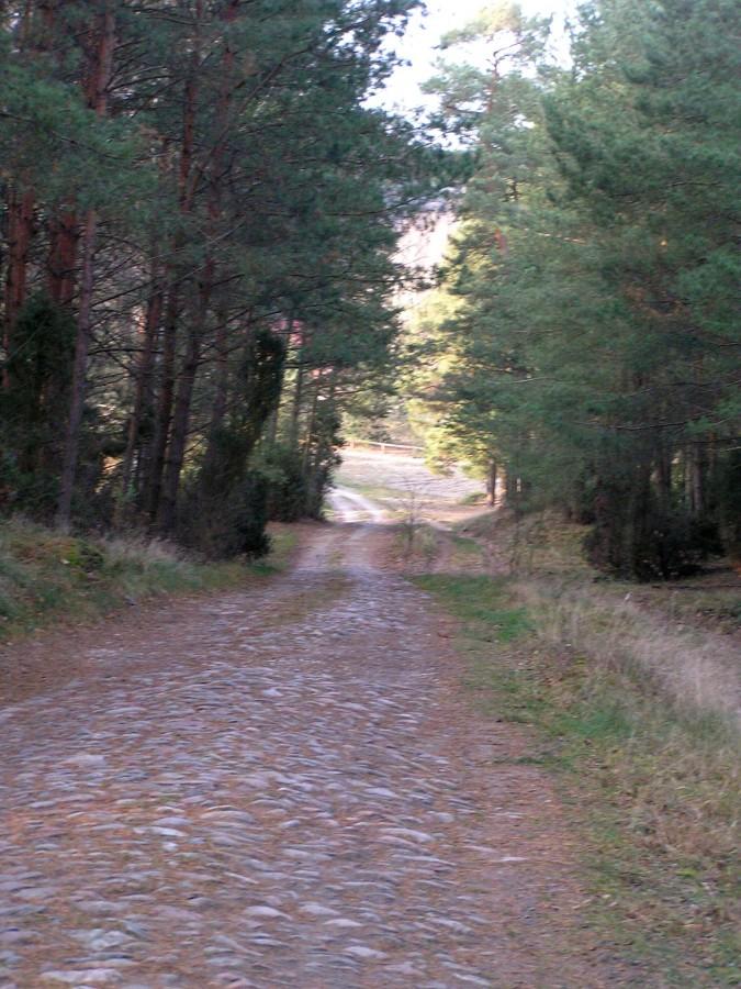 Droga między jeziorami Piaseczno a Krzywym także do przejechania w przyszłości