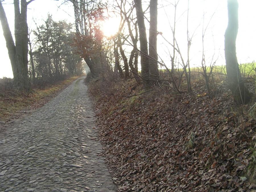 Po uciążliwym brukowym odcinku wyjechałem na buszkowskie pola, gdzie lekko urywało głowę...od wiatru