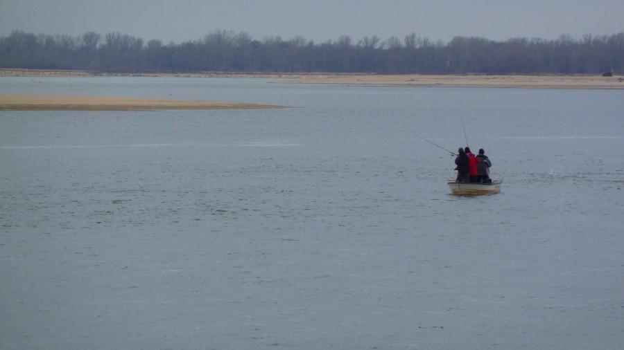 Wędkarze na Wiśle. Grudzień 2011