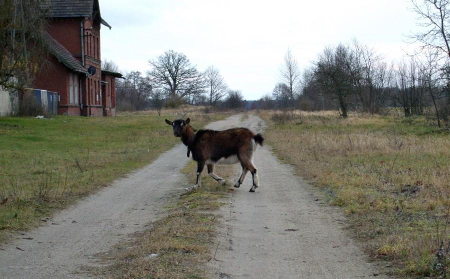 Ścieżka nie tylko rowerowa :-)