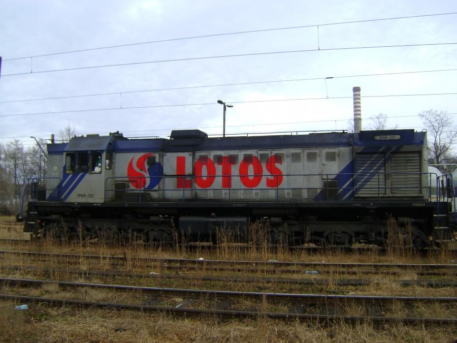 SM 48 Lotos Kolej