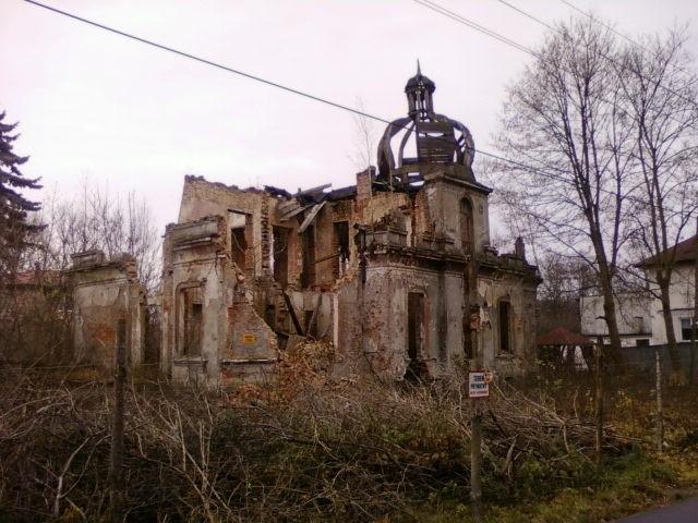 Ruina willi