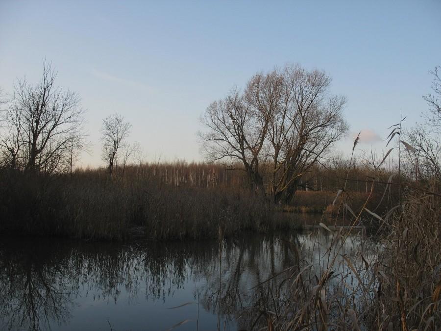 Pęcice - rozlewiska nad Utratą