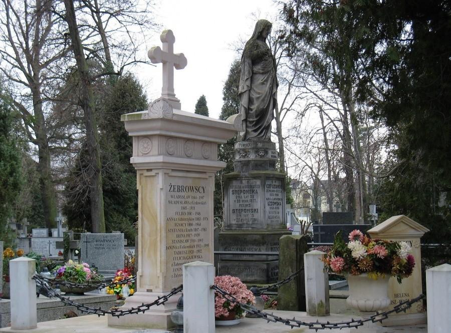 Cmentarz brwinowski
