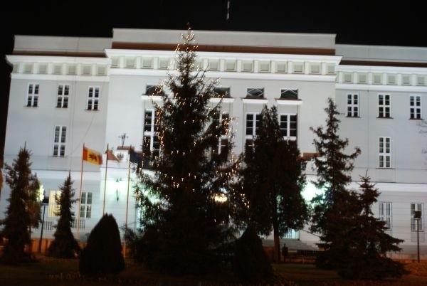 choinka przed Urzędem Miasta
