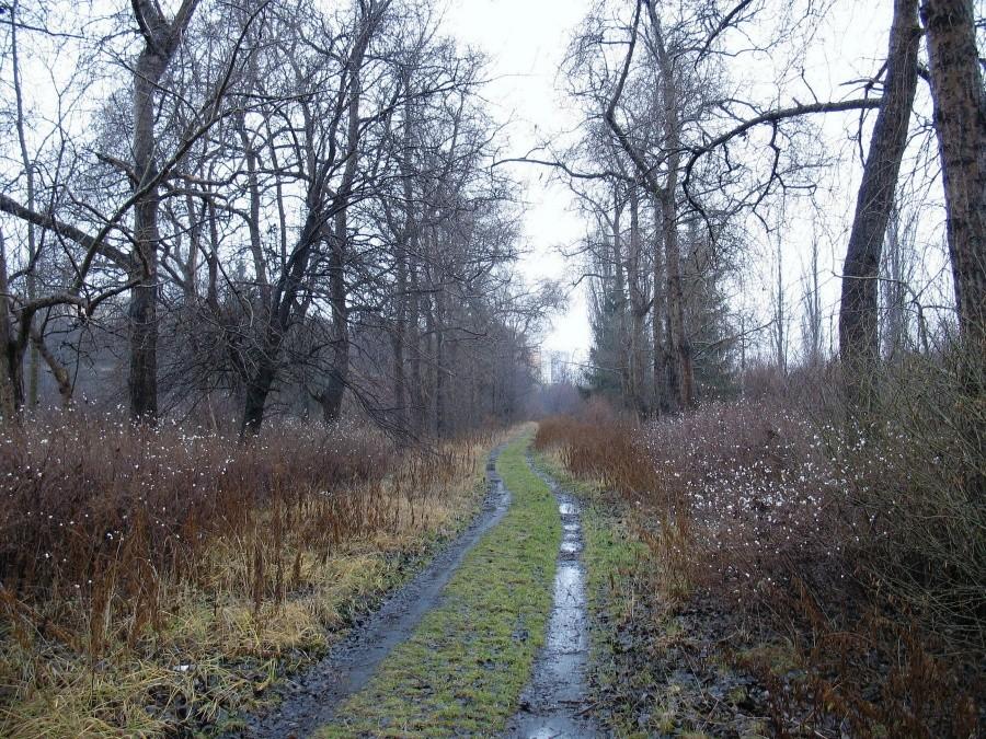 Fort Szczęśliwice