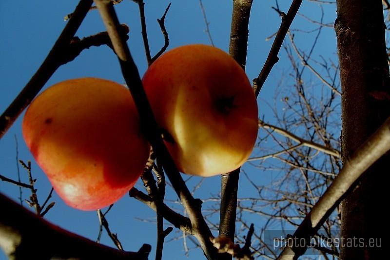 Natura))))))
