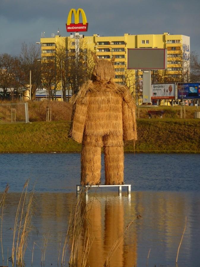 Miś i kapitalizm