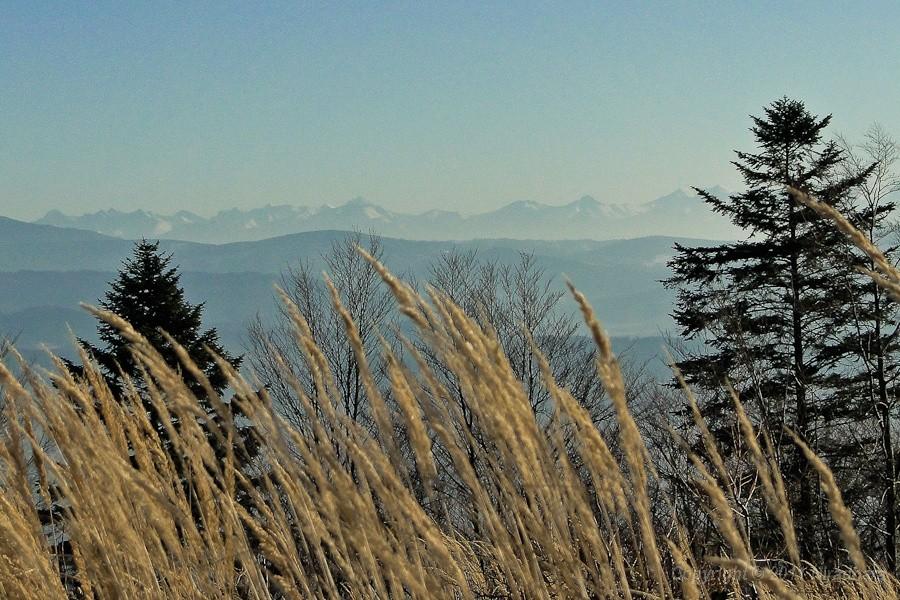 w dali Tatry