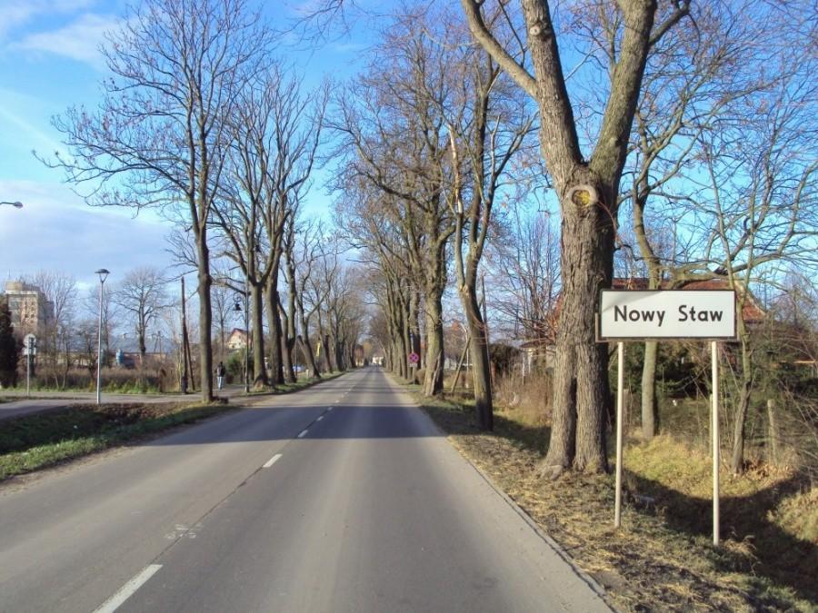 Grudniowe Pączki - Nowy Staw zdobyty