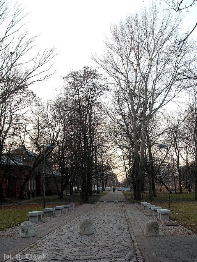 Gwiazda Ujazdowa